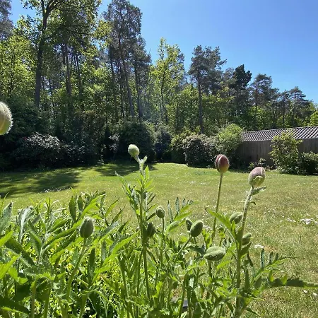 Heide-tukkul هيرمانسبرغ